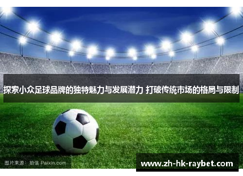探索小众足球品牌的独特魅力与发展潜力 打破传统市场的格局与限制