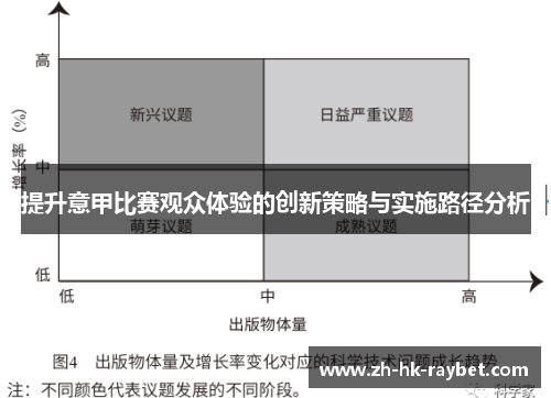 提升意甲比赛观众体验的创新策略与实施路径分析
